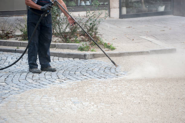 Best Animal Enclosure Cleaning  in Sun Valley, PA